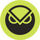 Gnosis Pay logo